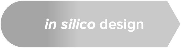 in silico design