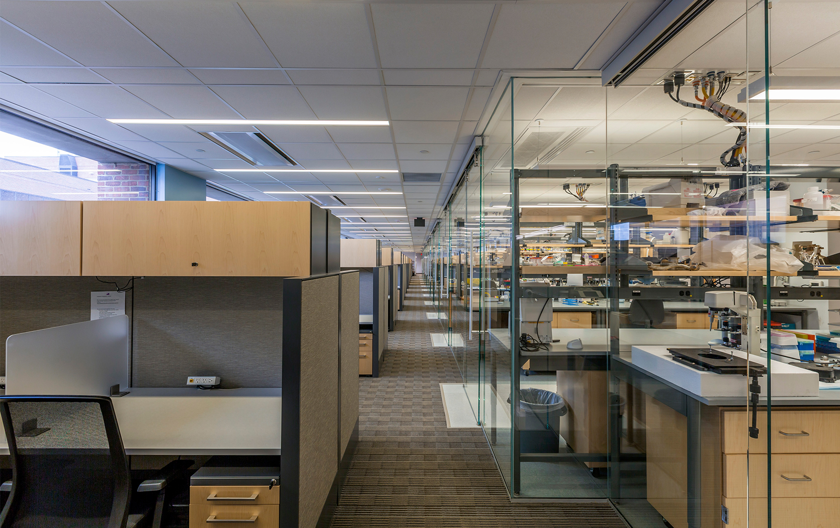 Biochemistry Laboratory Renovation