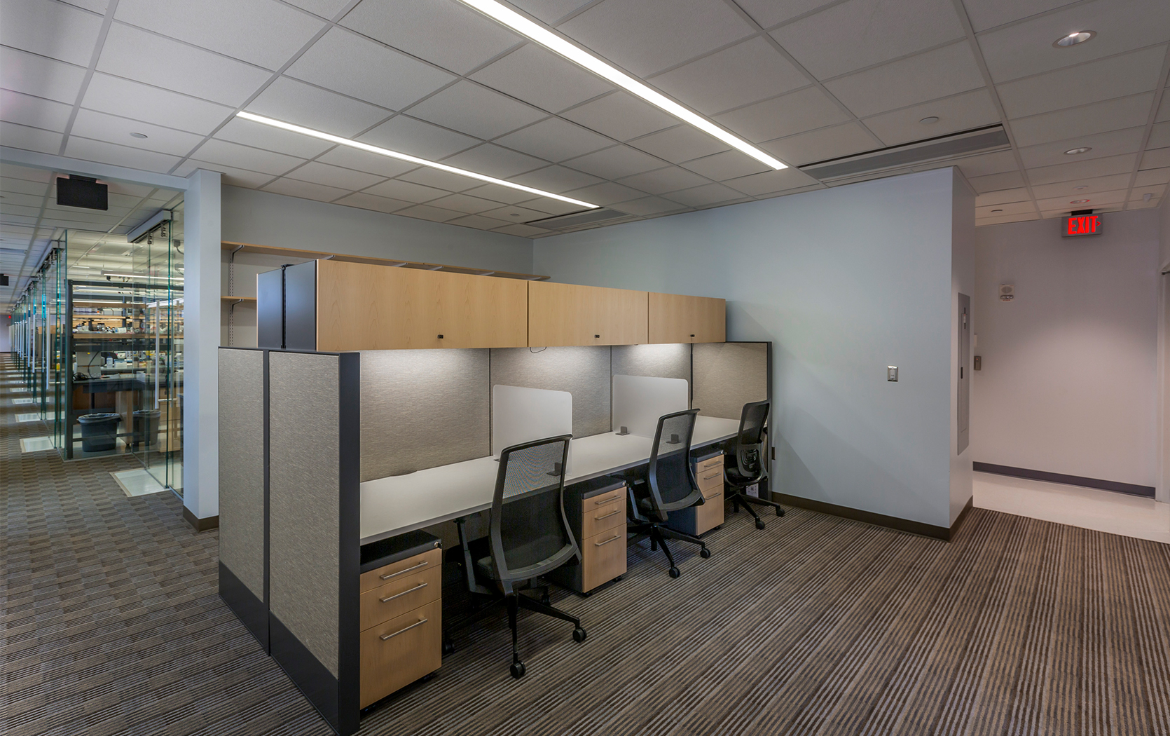 Biochemistry Laboratory Renovation