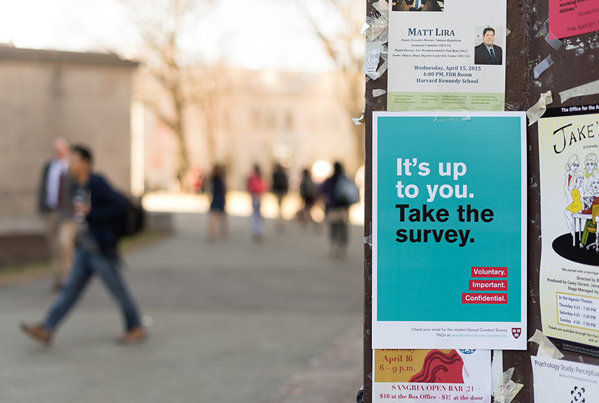 03_2009_de-Manio-Photography_Harvard-Survey_Design-&-Co.-Website-4-15-15