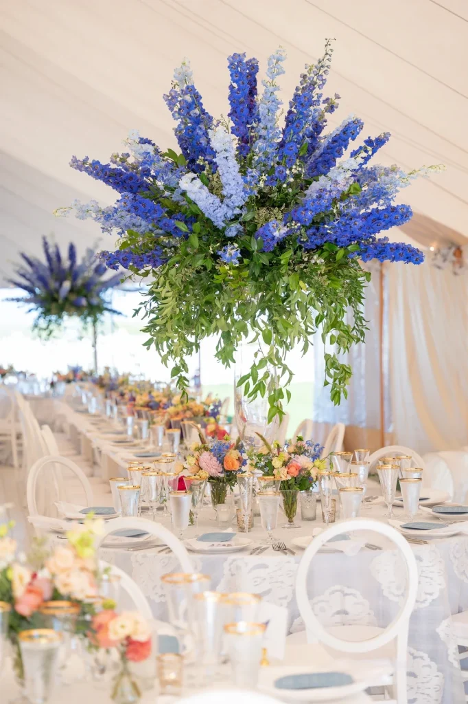 Lauren and Zachey wedding in Chatham, MA