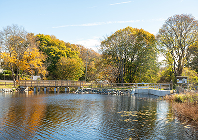 Silver Spring Lake Dam