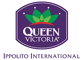 QV-Logo