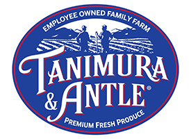 T&A-Logo