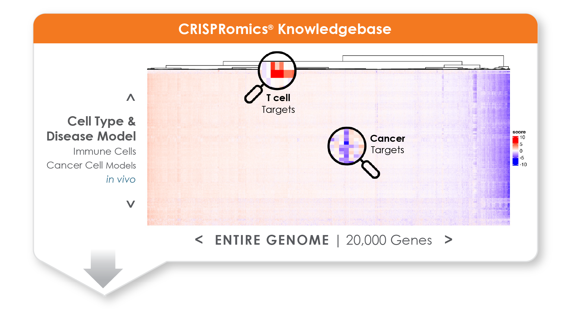 knowledgebase-top