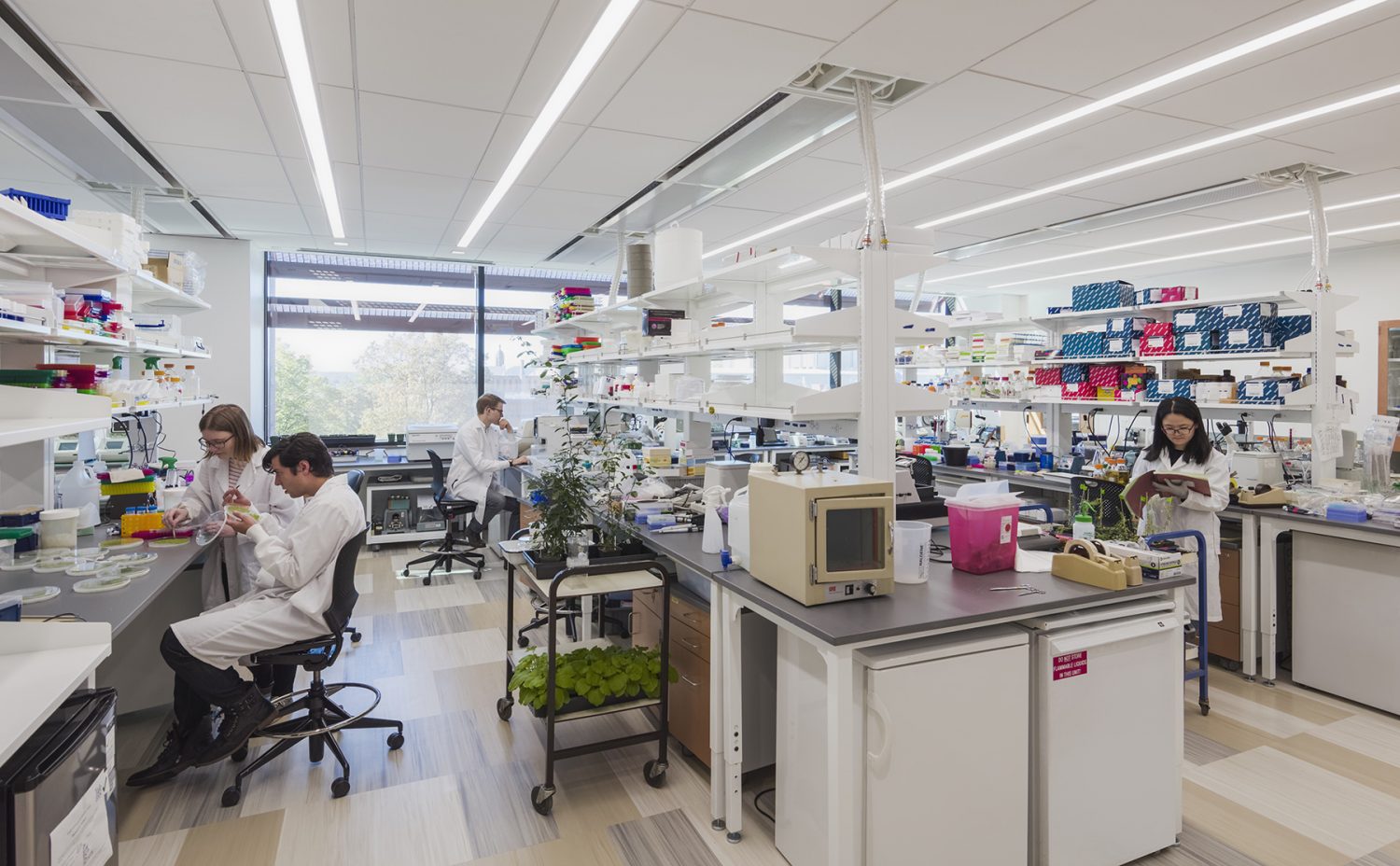Labs at the Yale Science Building